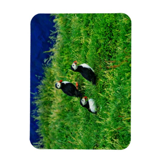 Magnet Flexible Puffins (Vertical)