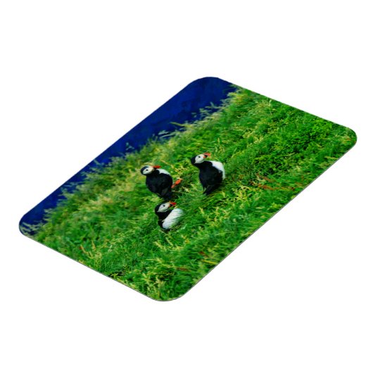 Magnet Flexible Puffins (Côté Gauche)