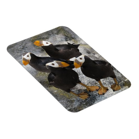 Magnet Flexible Puffins... (Côté Droit)