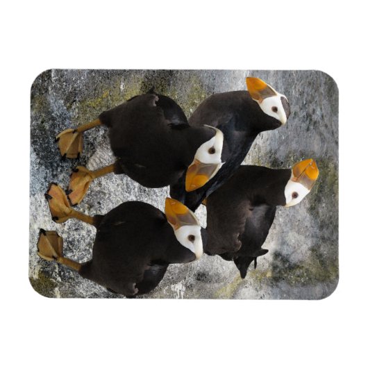 Magnet Flexible Puffins... (Horizontal)