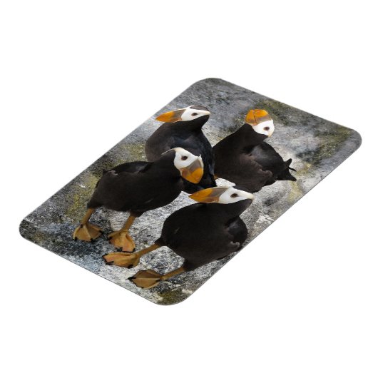 Magnet Flexible Puffins... (Côté Gauche)