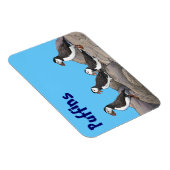 Magnet Flexible Puffins de l'Atlantique (Côté Droit)