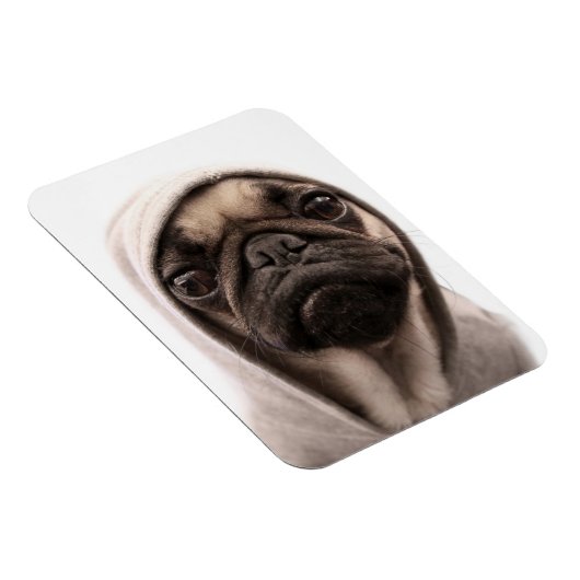 Magnet Flexible Pug (Côté Droit)