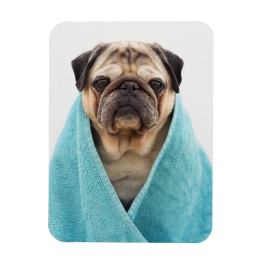 Magnet Flexible Pug (Vertical)