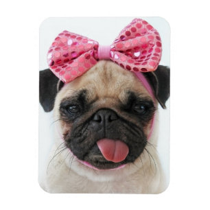 Magnet Flexible Pug with Pink Bow