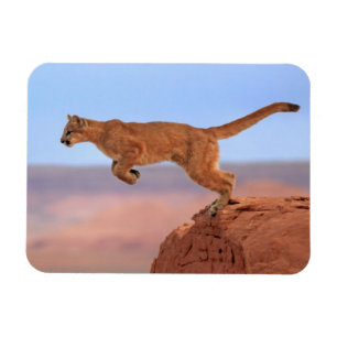 Magnet Flexible Puma