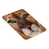 Magnet Flexible Puma (Côté Droit)