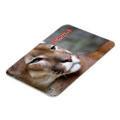 Magnet Flexible Puma argentine - (Côté Gauche)