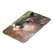 Magnet Flexible Puma, Californie (Côté Gauche)