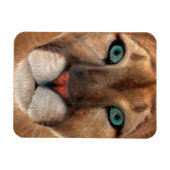 Magnet Flexible Puma (homonymie) (Horizontal)