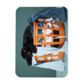 Magnet Flexible Puppy lying in laundry basket (Vertical)
