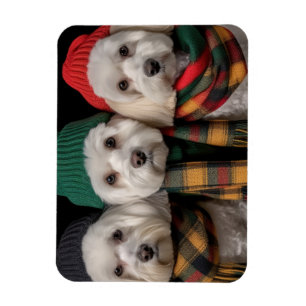 Magnet Flexible Pups de vacances