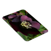 Magnet Flexible Purple Carême Rose Pâques (Côté Droit)