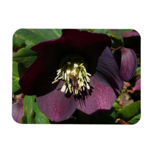 Magnet Flexible Purple Carême Rose Pâques