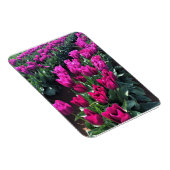 Magnet Flexible Purple Flag Tulips (Côté Droit)