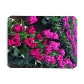 Magnet Flexible Purple Flag Tulips (Horizontal)