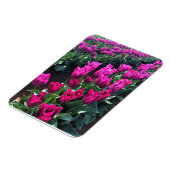 Magnet Flexible Purple Flag Tulips (Côté Gauche)