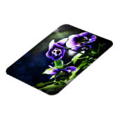 Magnet Flexible Purple Johnny Sauter des hauts et des étoiles (Côté Gauche)