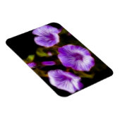 Magnet Flexible Purple Petunias (Côté Droit)