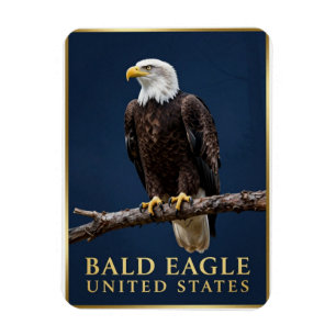 Magnet Flexible 🦅 Pygargue à tête blanche Wilderness américain