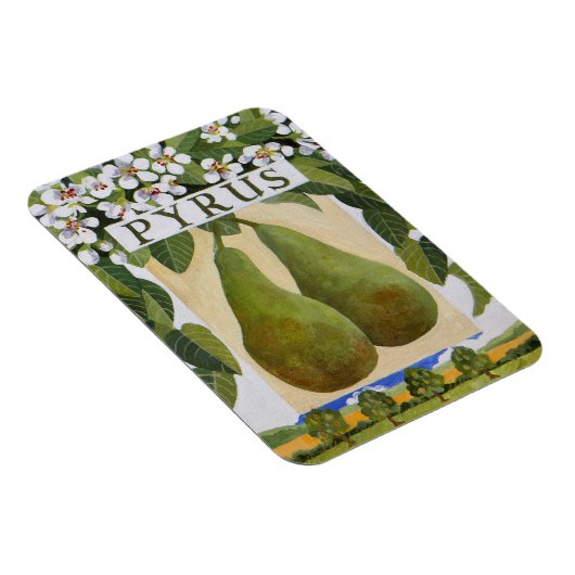 Magnet Flexible Pyrus (Côté Droit)