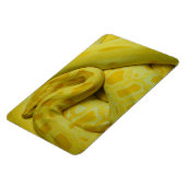 Magnet Flexible Python birman jaune (Côté Gauche)