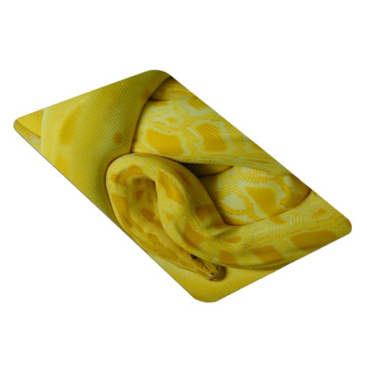 Magnet Flexible Python birman jaune (Côté Droit)