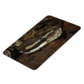 Magnet Flexible Python de tapis (Côté Gauche)