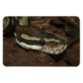 Magnet Flexible Python de tapis (Horizontal)