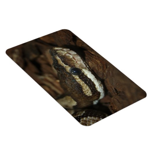 Magnet Flexible Python de tapis (Côté Droit)