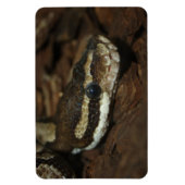 Magnet Flexible Python de tapis (Vertical)