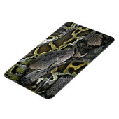 Magnet Flexible Python molurus bivittatus (Côté Gauche)