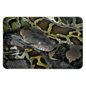 Magnet Flexible Python molurus bivittatus (Horizontal)