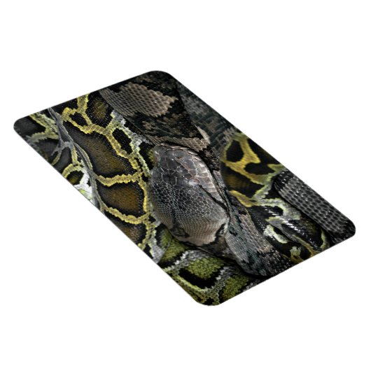 Magnet Flexible Python molurus bivittatus (Côté Droit)