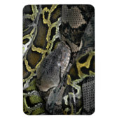 Magnet Flexible Python molurus bivittatus (Vertical)