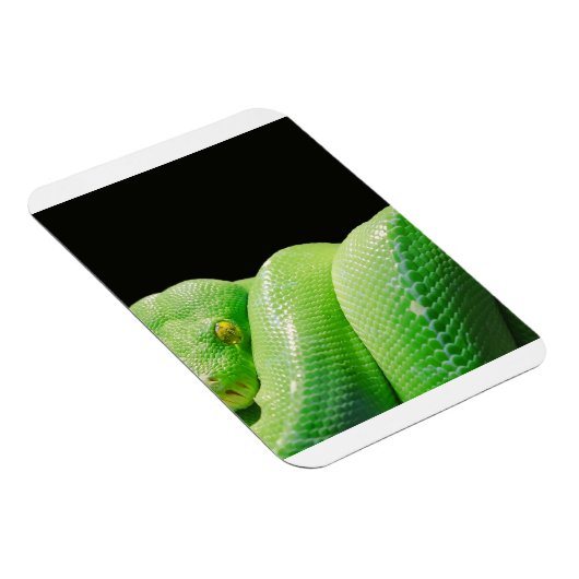 Magnet Flexible python vert (Côté Droit)