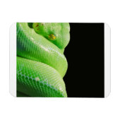 Magnet Flexible python vert (Horizontal)