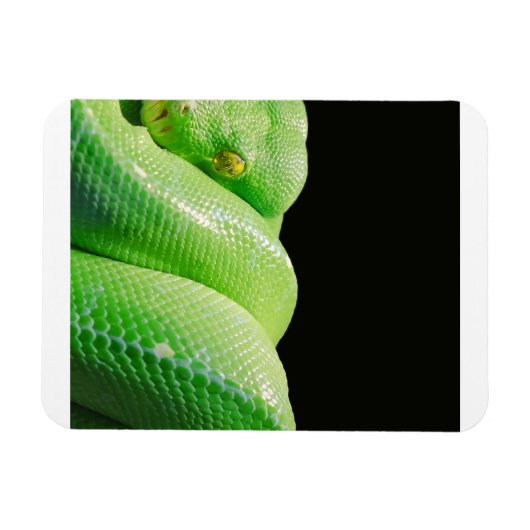 Magnet Flexible python vert (Horizontal)