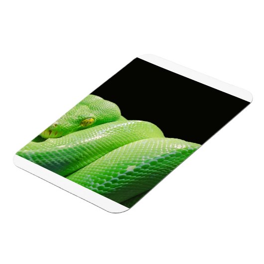 Magnet Flexible python vert (Côté Gauche)