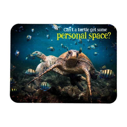 Magnet Flexible Quand la vie devient dure, il suffit de continuer  (Horizontal)