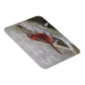 Magnet Flexible Quand un cardinal apparaît dans votre cour... (Côté Droit)