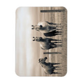 Magnet Flexible Quart De Chevaux Sur Les Prairies Canadiennes (Vertical)