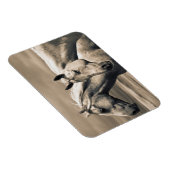 Magnet Flexible Quart De Chevaux Sur Les Prairies Canadiennes (Côté Droit)