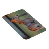 Magnet Flexible Quart Horse Foin (Côté Droit)