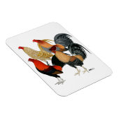 Magnet Flexible Quatre gamecocks (Côté Droit)