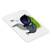 Magnet Flexible Quatre Guineas (Côté Droit)