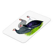 Magnet Flexible Quatre Guineas (Côté Gauche)
