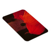 Magnet Flexible Quatre moines (Côté Droit)