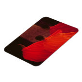 Magnet Flexible Quatre moines (Côté Gauche)