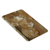 Magnet Flexible Quatre tabbis rouges (Côté Droit)